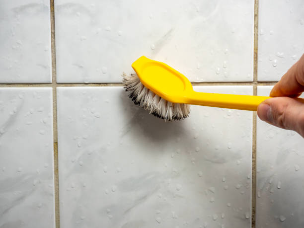 Trusted Black Diamond, FL Mold Remediation Experts