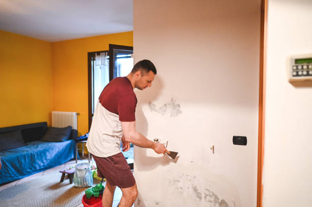 Best Health and Safety Mold Remediation in Black Diamond, FL